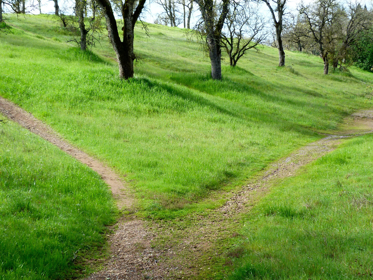 ATG Oracle Commerce – Planning for the Future – Next Steps – Part 4